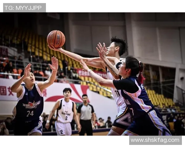 CBA精彩对决辽宁队迎战浙江队直播全程回顾与分析