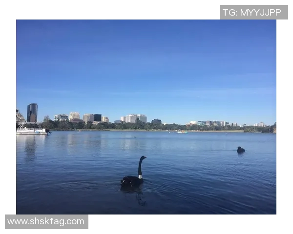 清水鼓动与鸟西砂岩的精彩对决揭示了岩石艺术的无限魅力与深邃内涵