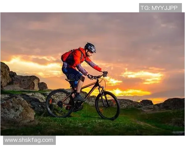 极限运动战术解析：武汉极限运动队的创新防守体系研究与实践MBA