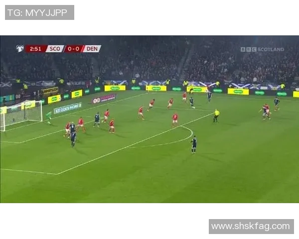 丹麦与法国精彩对决全场录像回顾及精彩瞬间分析