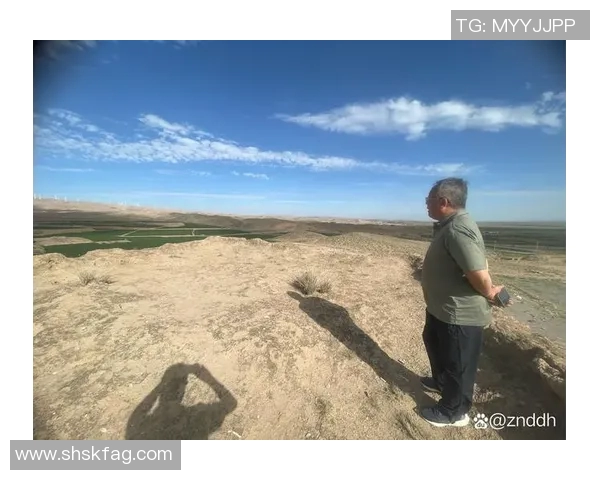 探索奥蓬达的魅力与神秘，揭开这片土地的历史与文化面纱