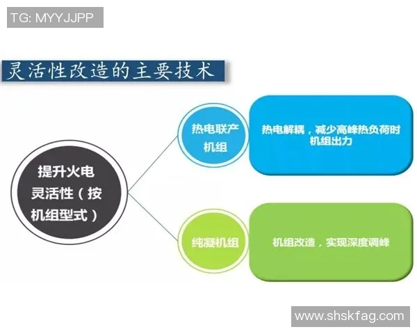 杭州乒乓球队灵活性分析与战术调整的深度探讨与研究MBA