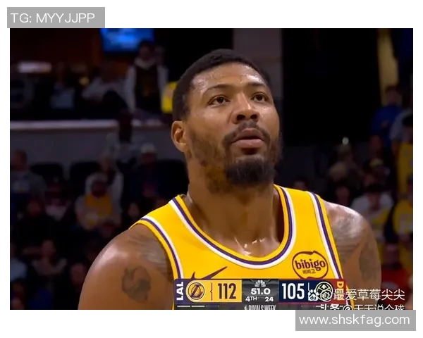 湖人对阵掘金精彩赛事在线直播全程回顾与分析