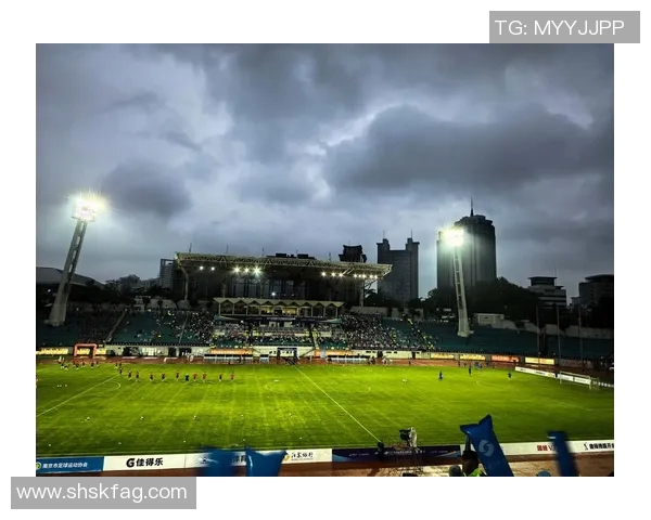 南京足球队的蜕变之路总决赛特别报道见证辉煌与挑战的交织